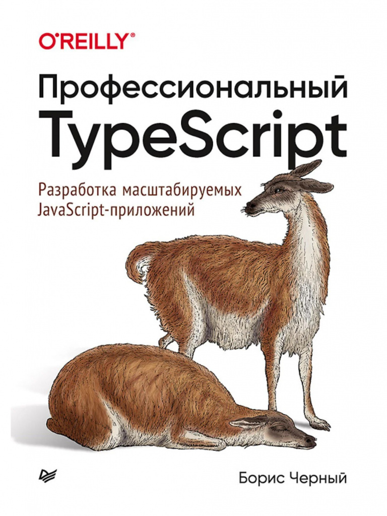 Бориса Черного «Профессиональный TypeScript. Разработка масштабируемых JavaScript-приложений»